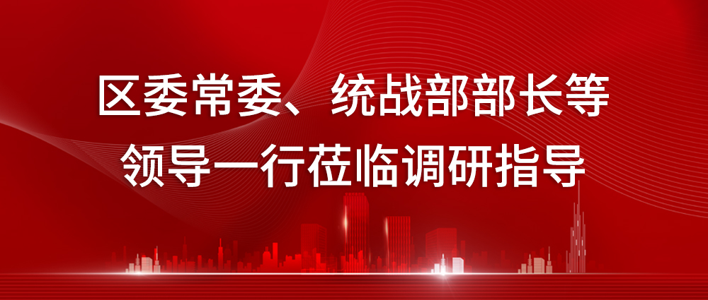 威士WSS | 區委常委、統戰部部長等領導一行蒞臨調研指導